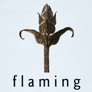 Flaming Film Festival